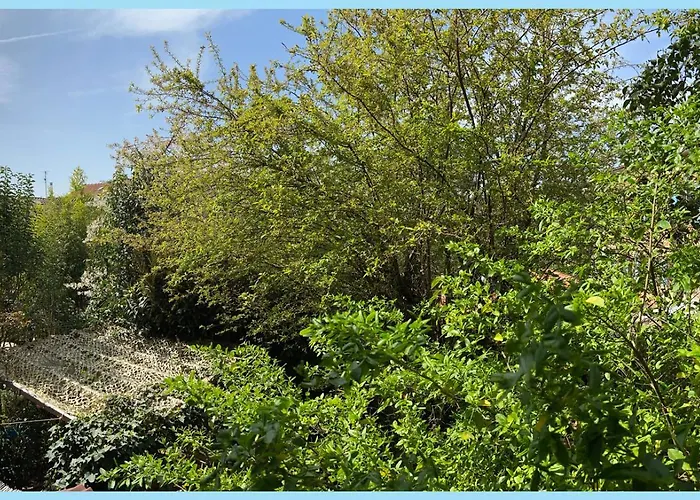 La Bulle dans le Palmier